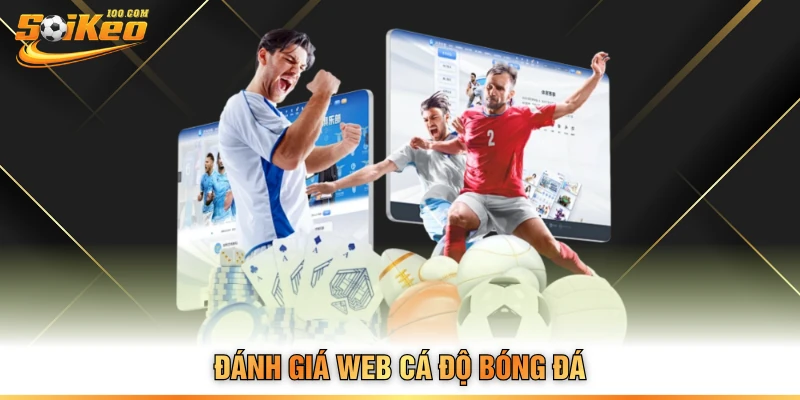 Đánh giá web cá độ bóng đá