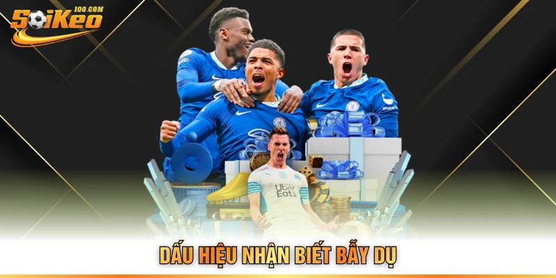 Dấu hiệu nhận biết bẫy dụ