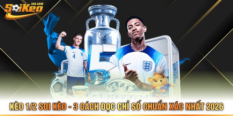 Kèo 1/2 Soi Kèo - 3 Cách Đọc Chỉ Số Chuẩn Xác Nhất 2026