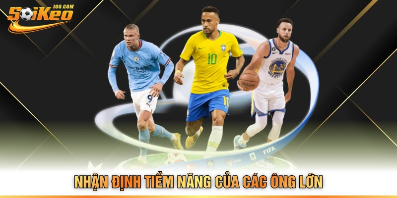 Nhận định tiềm năng của các ông lớn